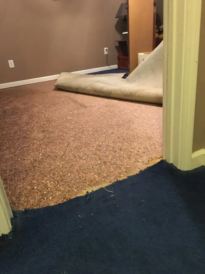 Carpet pad removal revealing water damage during Water Mitigation Services in Creve Coeur
