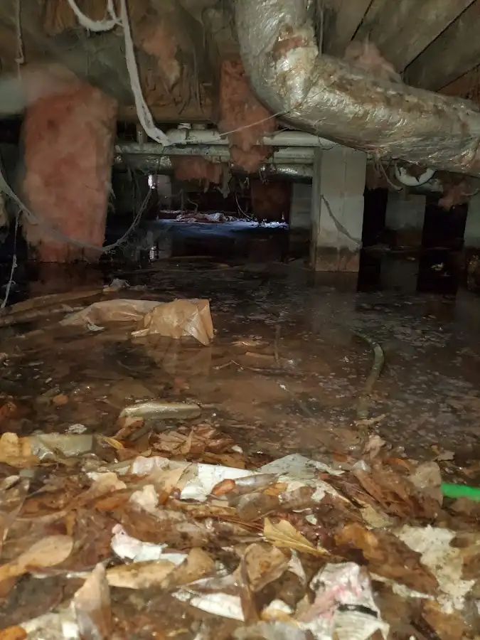 Crawl space flood assessment for Leak Detection & Repair in Creve Coeur