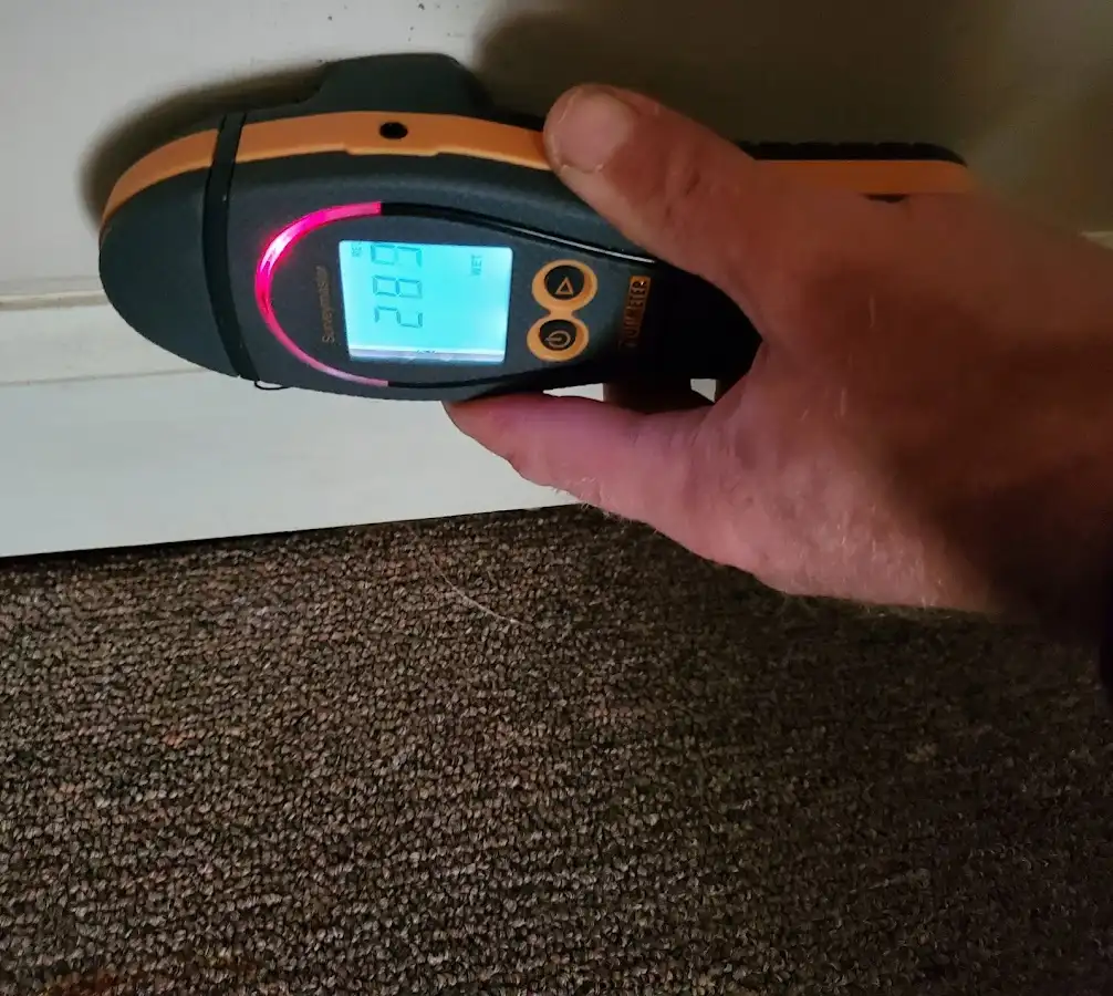Moisture detection at baseboard during Burst Pipe Cleanup in Creve Coeur